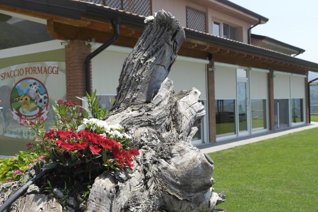 Agriturismo Fattoria Monte Baldo Vista Lago Caprino Veronese Eksteriør billede