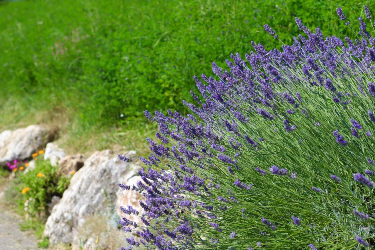 Agriturismo Fattoria Monte Baldo Vista Lago Caprino Veronese Eksteriør billede